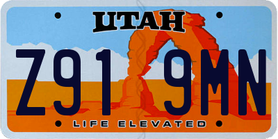 UT license plate Z919MN