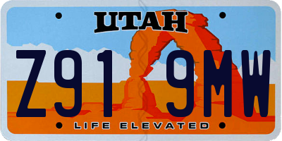 UT license plate Z919MW