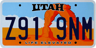 UT license plate Z919NM