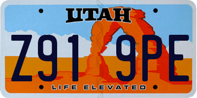 UT license plate Z919PE