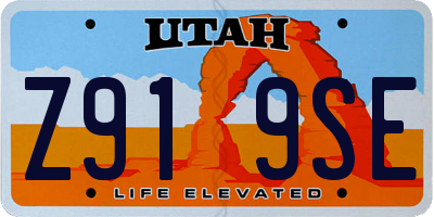 UT license plate Z919SE