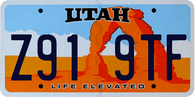UT license plate Z919TF