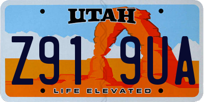 UT license plate Z919UA