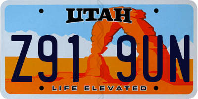 UT license plate Z919UN
