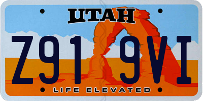 UT license plate Z919VI