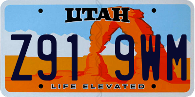 UT license plate Z919WM