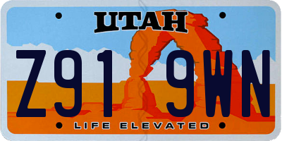 UT license plate Z919WN