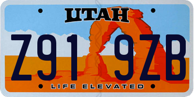 UT license plate Z919ZB
