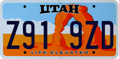 UT license plate Z919ZD