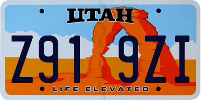 UT license plate Z919ZI