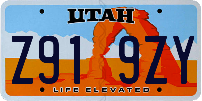 UT license plate Z919ZY