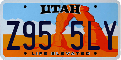 UT license plate Z955LY