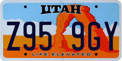 UT license plate Z959GY