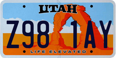 UT license plate Z981AY