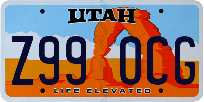 UT license plate Z990CG