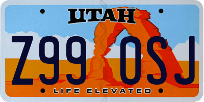 UT license plate Z990SJ