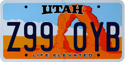 UT license plate Z990YB