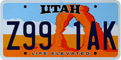 UT license plate Z991AK