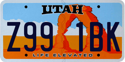 UT license plate Z991BK