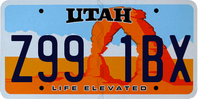 UT license plate Z991BX