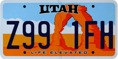 UT license plate Z991FH