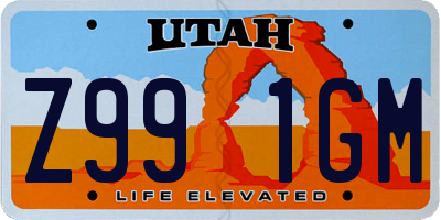 UT license plate Z991GM