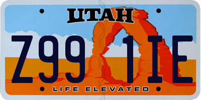 UT license plate Z991IE