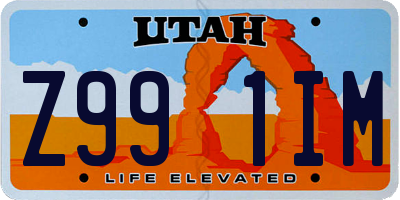 UT license plate Z991IM