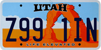 UT license plate Z991IN