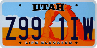 UT license plate Z991IW