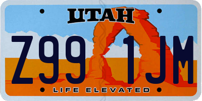 UT license plate Z991JM