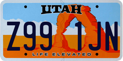 UT license plate Z991JN