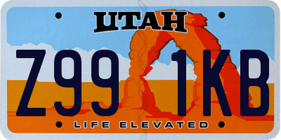 UT license plate Z991KB