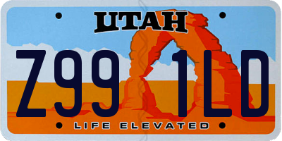 UT license plate Z991LD