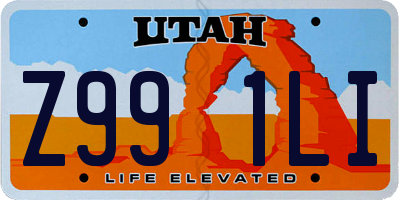 UT license plate Z991LI