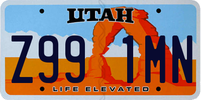 UT license plate Z991MN