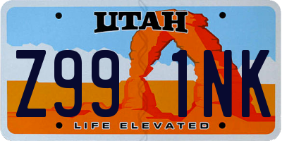 UT license plate Z991NK