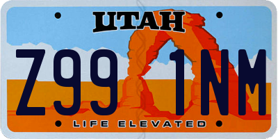 UT license plate Z991NM