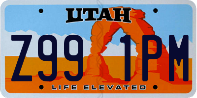 UT license plate Z991PM