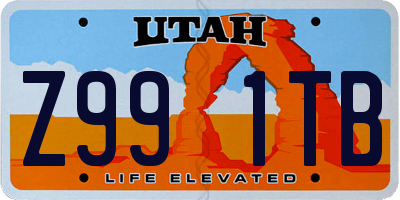 UT license plate Z991TB