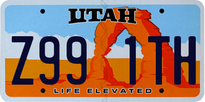 UT license plate Z991TH