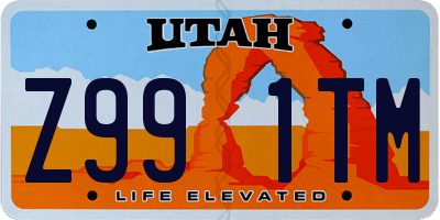 UT license plate Z991TM