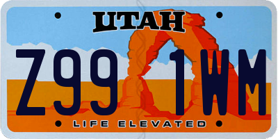 UT license plate Z991WM