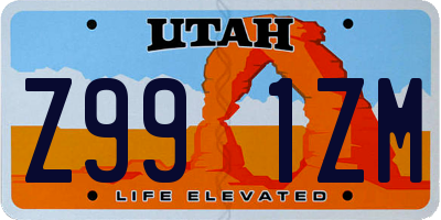 UT license plate Z991ZM