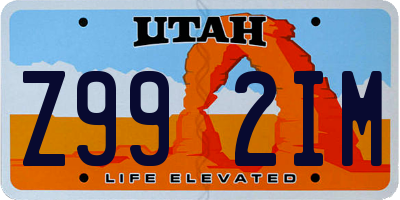 UT license plate Z992IM