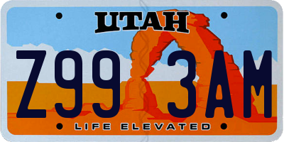 UT license plate Z993AM