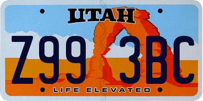 UT license plate Z993BC