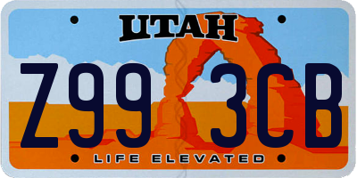 UT license plate Z993CB