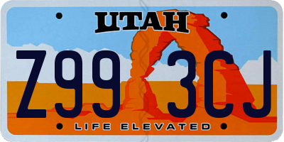 UT license plate Z993CJ