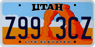 UT license plate Z993CZ